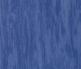 Коммерческий линолеум Tarkett Standard plus royal blue 0920
