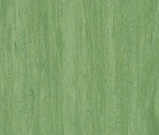 Коммерческий линолеум Tarkett Standard plus dark green 0921
