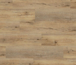 Вінілова підлога Wineo 400 DLC Wood XL Joy Oak Tender DLC00126