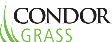 Condor grass