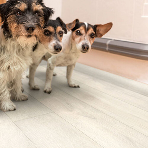 Binyl PRO Fresh Wood