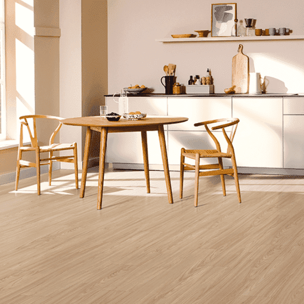 8/33 Aqua Clic Classic 4V