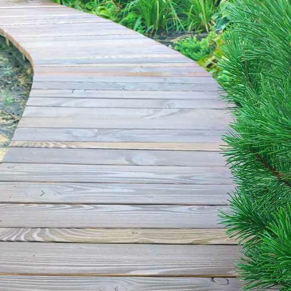 Натуральна дошка Ясен