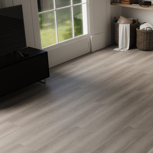 NORTH AMERICA (Grizzly)