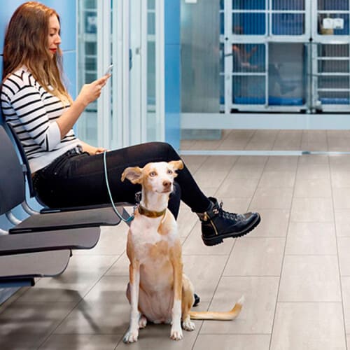 Binyl PRO Fine Stone