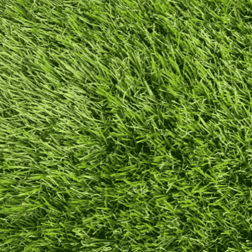 Штучна трава Congrass JAKARTA 40 2000 мм.