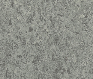 Натуральный линолеум Tarkett Veneto 2.0 ALUMINIUM 672