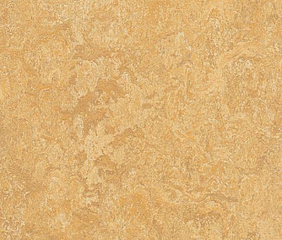 Натуральний лінолеум Forbo Marmoleum Real 2.5 мм 3173 Van Gogh