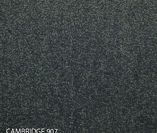 Килимова плитка Modulyss 14 Cambridge 907