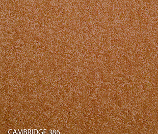Ковровая плитка Modulyss 14 Cambridge 386