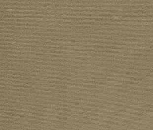 Килимове покриття Arc Edition Altona 049