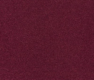 Килимове покриття Carus Andorra 445