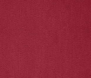 Ковровое покрытие Arc Edition Prominent 11