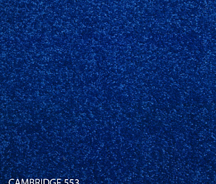 Килимова плитка Modulyss 14 Cambridge 553