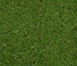 Штучна трава Condor Grass Launch 15