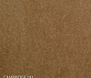 Килимова плитка Modulyss 14 Cambridge 181