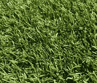 Штучна трава Betap HEATONPARQ 30 2000 мм.