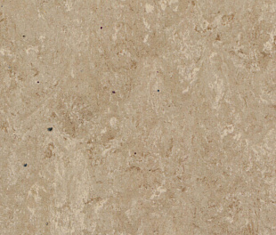 Натуральный линолеум Tarkett Veneto 2.0 SILK 625