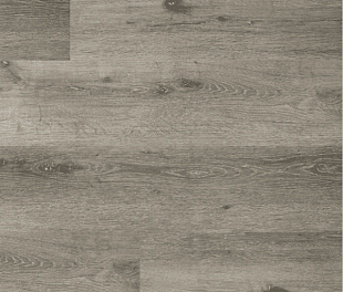 SPC - покриття HDM Vinyluxe Plank Bristol VYL8185