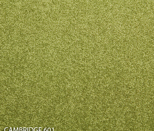 Ковровая плитка Modulyss 14 Cambridge 601
