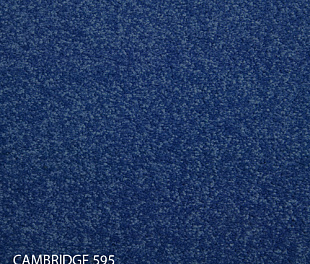 Килимова плитка Modulyss 14 Cambridge 595