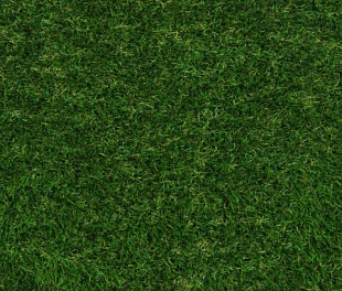 Штучна трава Condor Grass Megan 38