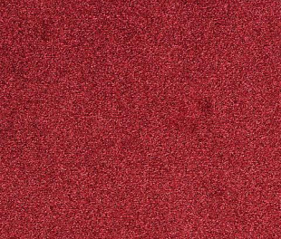 Килимове покриття Arc Edition Evolve 15