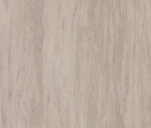 Комерційний лінолеум Tarkett Standard plus medium warm grey 0911