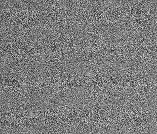 Килимове покриття Arc Edition Evolve 95