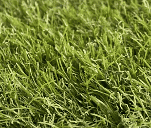 Штучна трава Betap EUROPEPARQ 4000 мм.