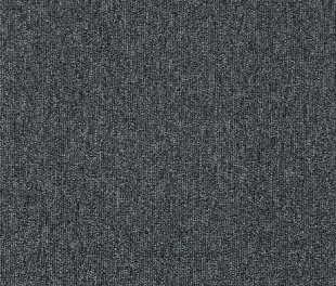 Килимове покриття Arc Edition Master 297