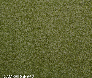 Килимова плитка Modulyss 14 Cambridge 662