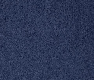 Килимове покриття Arc Edition Prominent 79