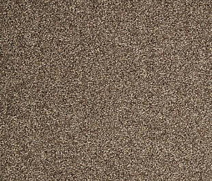 Килимове покриття Arc Edition Evolve 49