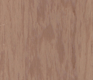 Комерційний лінолеум Tarkett Standard plus sand dark 0915