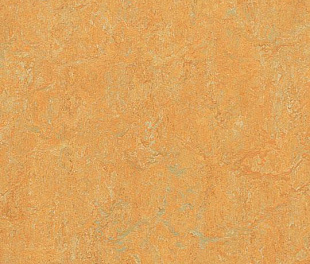 Натуральный линолеум Forbo Marmoleum Real 2.5 мм 3847 golden saffron