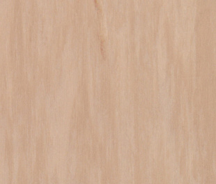 Комерційний лінолеум Tarkett Standard plus sand medium 0914