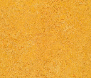 Натуральный линолеум Forbo Marmoleum Real 2.5 мм 3225 dandelion