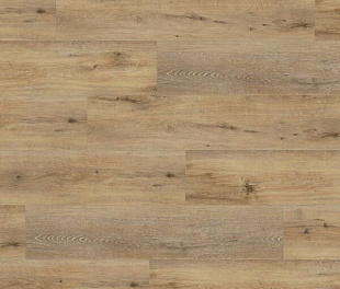 Виниловый пол Wineo 400 DLC Wood XL Joy Oak Tender DLC00126