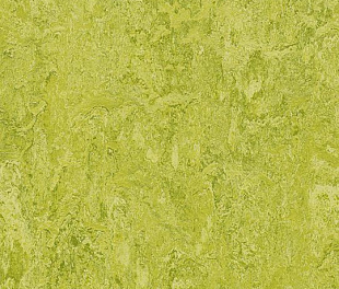 Натуральний лінолеум Forbo Marmoleum Real 2.5 мм 3224 chartreuse