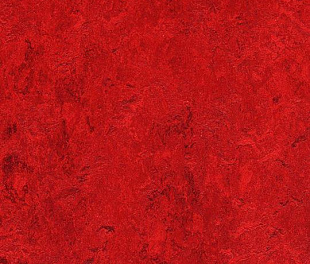 Натуральний лінолеум Forbo Marmoleum Real 2.5 мм 3127 Bleeckerstreet
