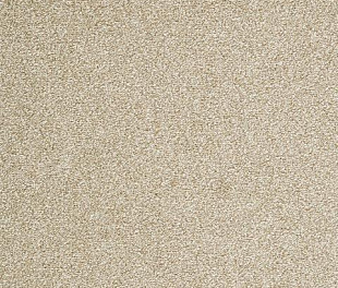 Килимове покриття Arc Edition Evolve 39