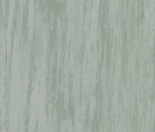 Комерційний лінолеум Tarkett Standard plus pale green 0923