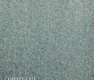 Килимова плитка Modulyss 14 Cambridge 915
