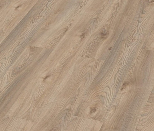 Ламінат Kronotex Mammut Дуб Макро Бежевий d 3669