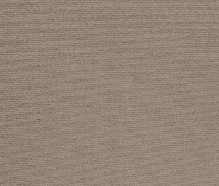 Килимове покриття Arc Edition Altona 045