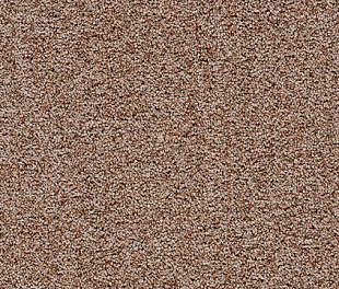 Килимове покриття Arc Edition Sirious 54