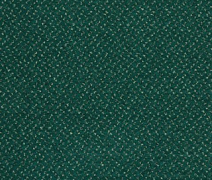 Килимове покриття Arc Edition Fortesse SDE 24