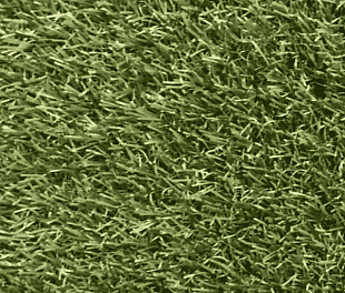 Штучна трава Orotex MONA 2000 мм.