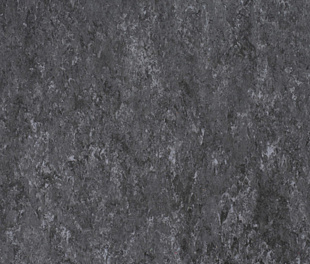 Натуральный линолеум Tarkett Veneto 2.0 GRAPHITE 906